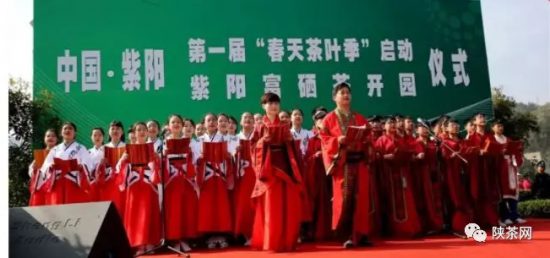 紫阳富硒茶 入选央视（紫阳富硒茶的竞争对手）-硒宝网
