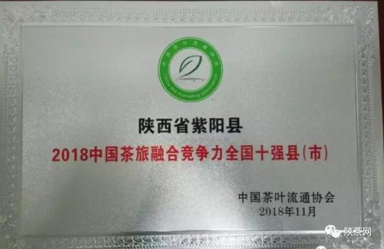 紫阳富硒茶 入选央视（紫阳富硒茶的竞争对手）-硒宝网