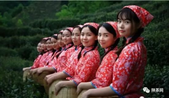 紫阳富硒茶 入选央视（紫阳富硒茶的竞争对手）-硒宝网