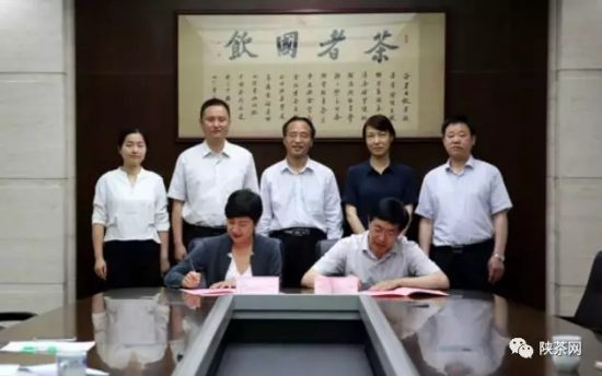 紫阳富硒茶 入选央视（紫阳富硒茶的竞争对手）-硒宝网