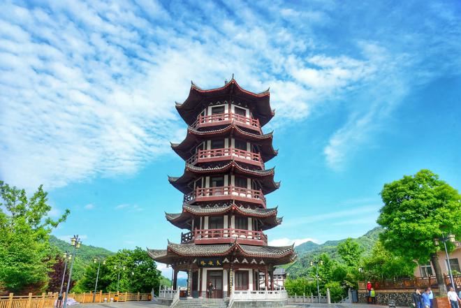 平利女娲茶 富硒绿茶(平利女娲茶价格)-硒宝网