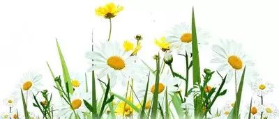 婴儿补钙产品排行榜(婴儿补钙产品前十名)-硒宝网