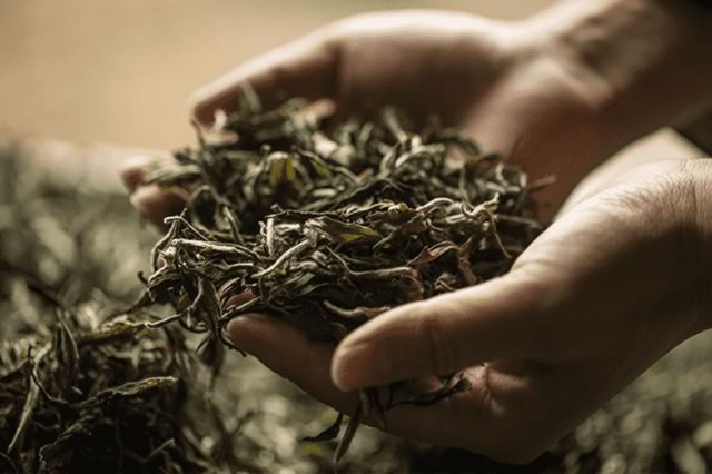 水城绿茶 天然富硒茶(富硒绿茶多少钱一斤)-硒宝网