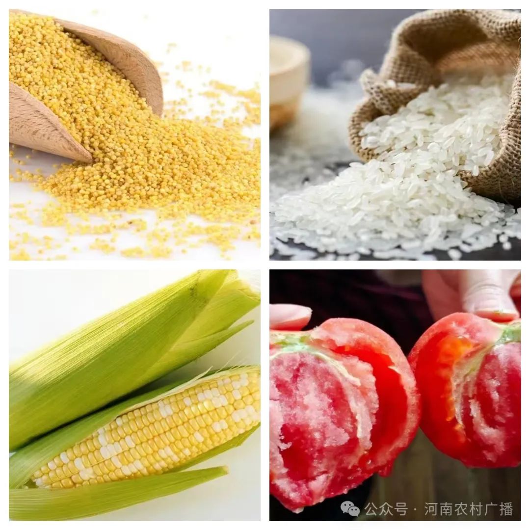 富锌富硒茶有什么标准（茶叶富硒标准）-硒宝网