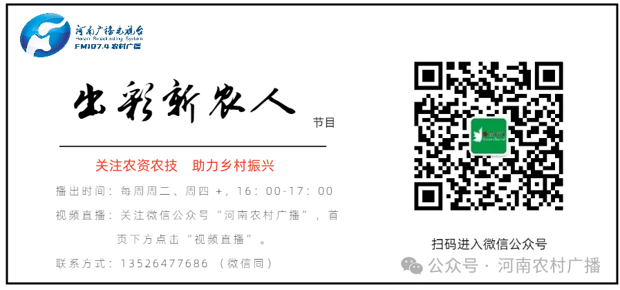 富锌富硒茶有什么标准（茶叶富硒标准）-硒宝网