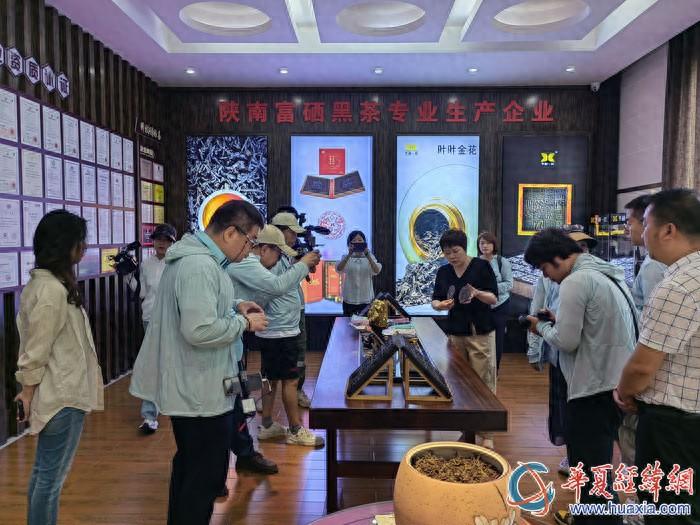 平利女娲茶 富硒绿茶(平利女娲茶两盒装多钱)-硒宝网