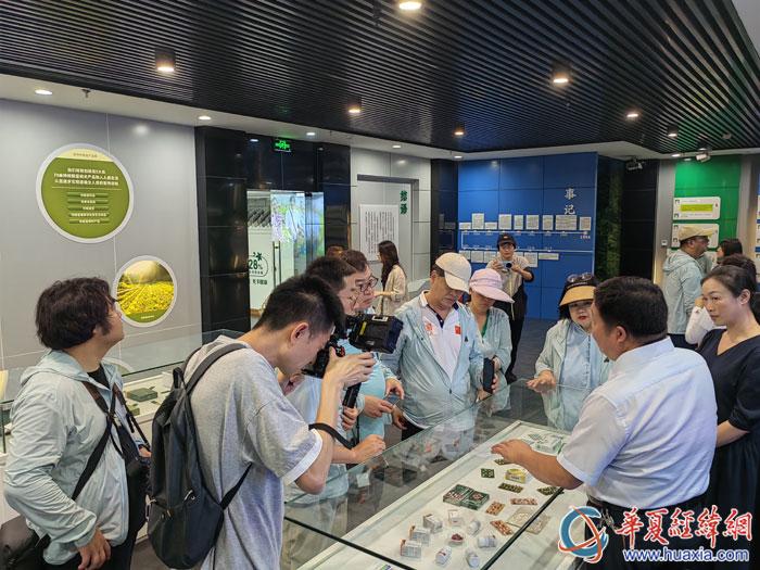 平利女娲茶 富硒绿茶(平利女娲茶两盒装多钱)-硒宝网