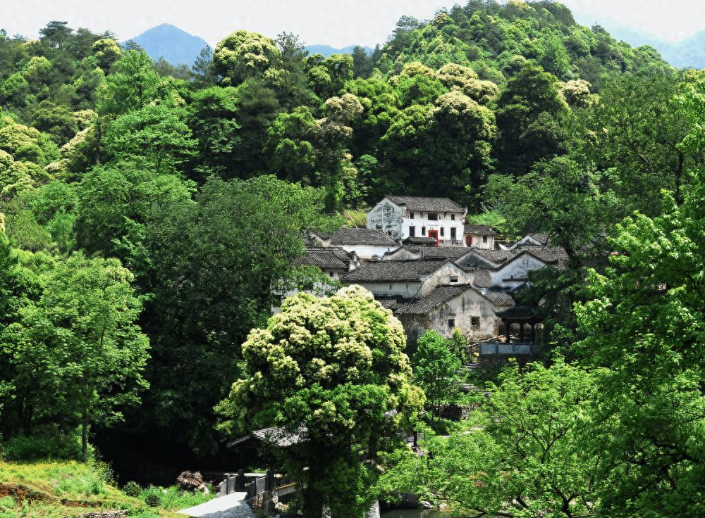 仙寓山富硒茶含硒多少（仙寓山富硒茶多少钱1斤）-硒宝网