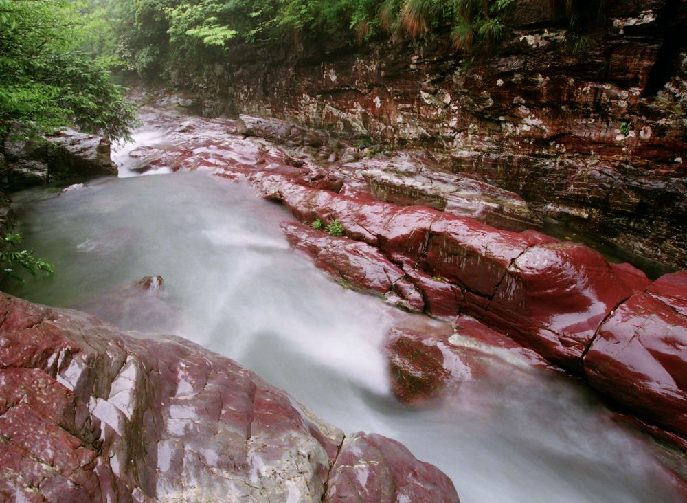 仙寓山富硒茶含硒多少（仙寓山富硒茶多少钱1斤）-硒宝网