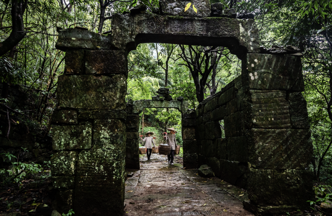 仙寓山富硒茶含硒多少（仙寓山富硒茶多少钱1斤）-硒宝网