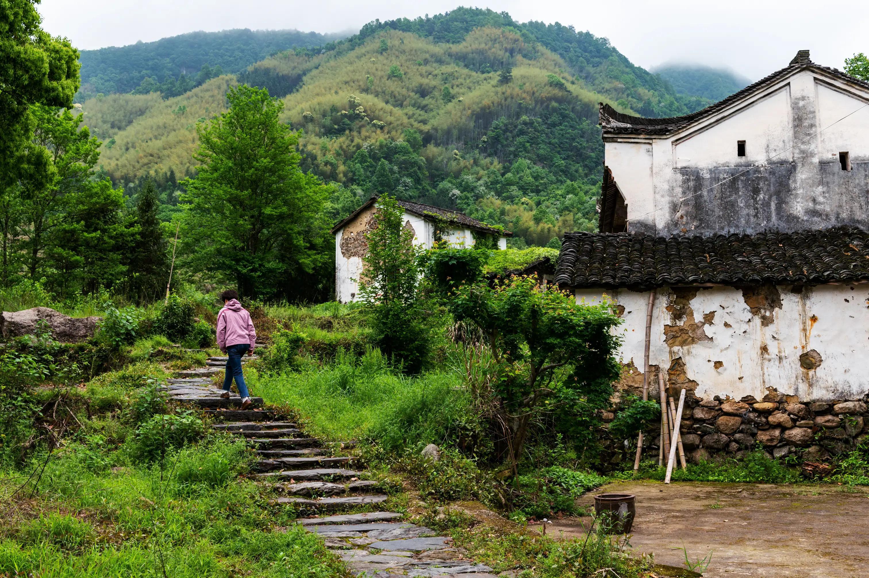 仙寓山富硒茶含硒多少(仙寓硒泉生产厂家)-硒宝网