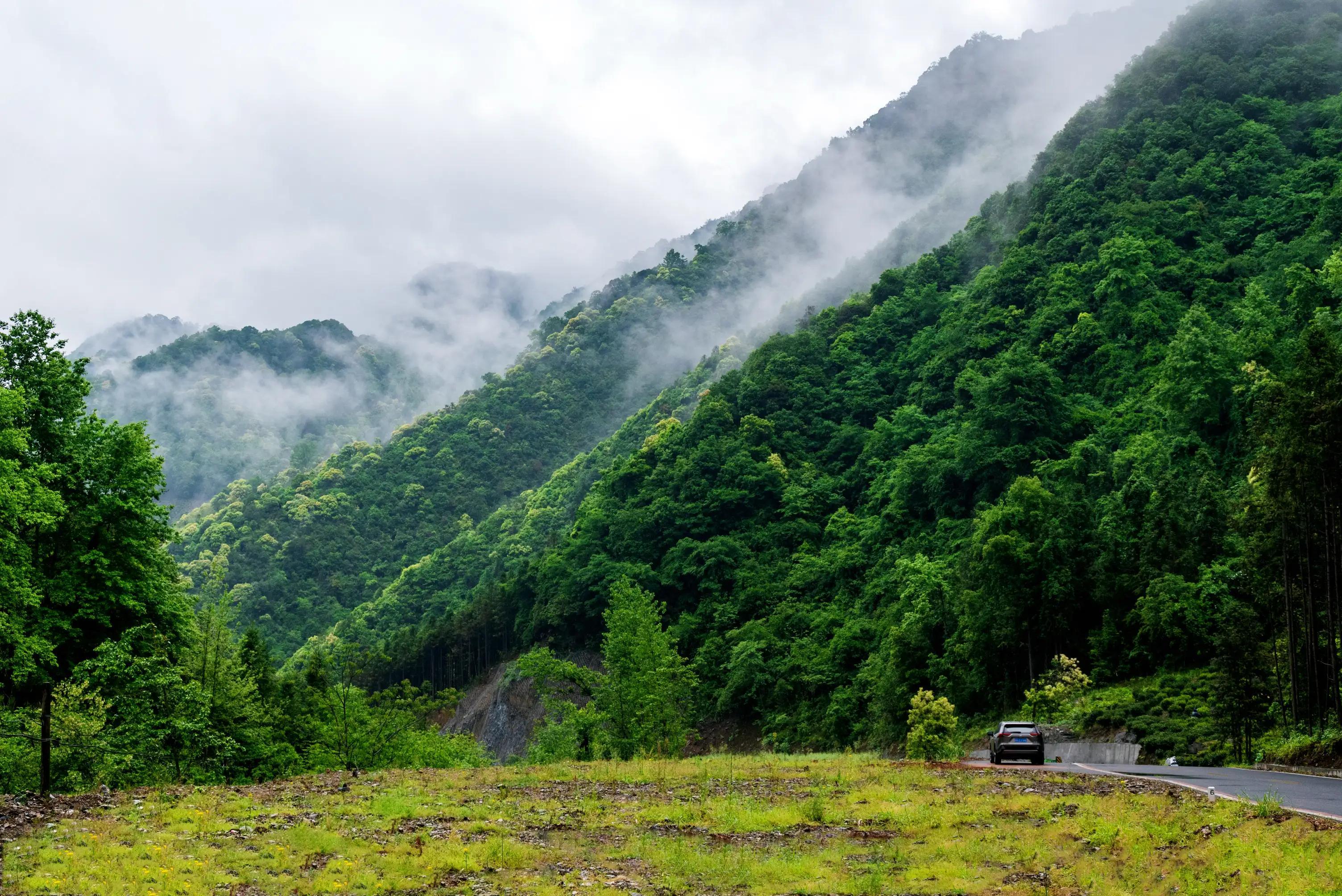 仙寓山富硒茶含硒多少(仙寓硒泉生产厂家)-硒宝网