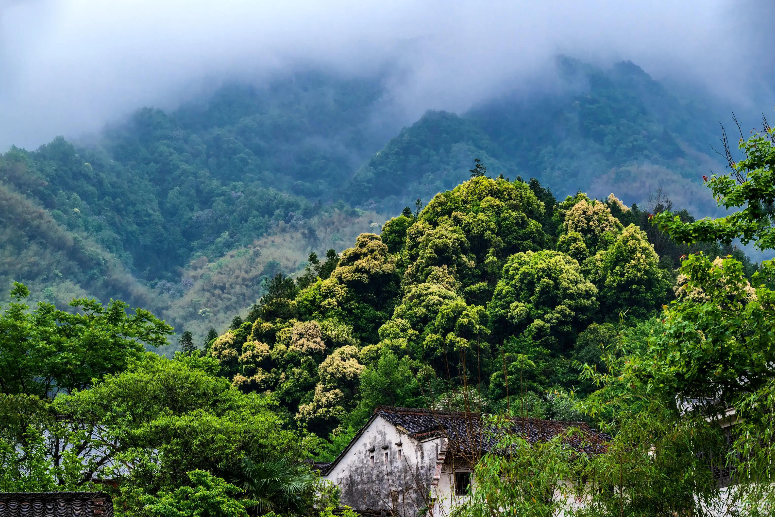 仙寓山富硒茶含硒多少(仙寓硒泉生产厂家)-硒宝网