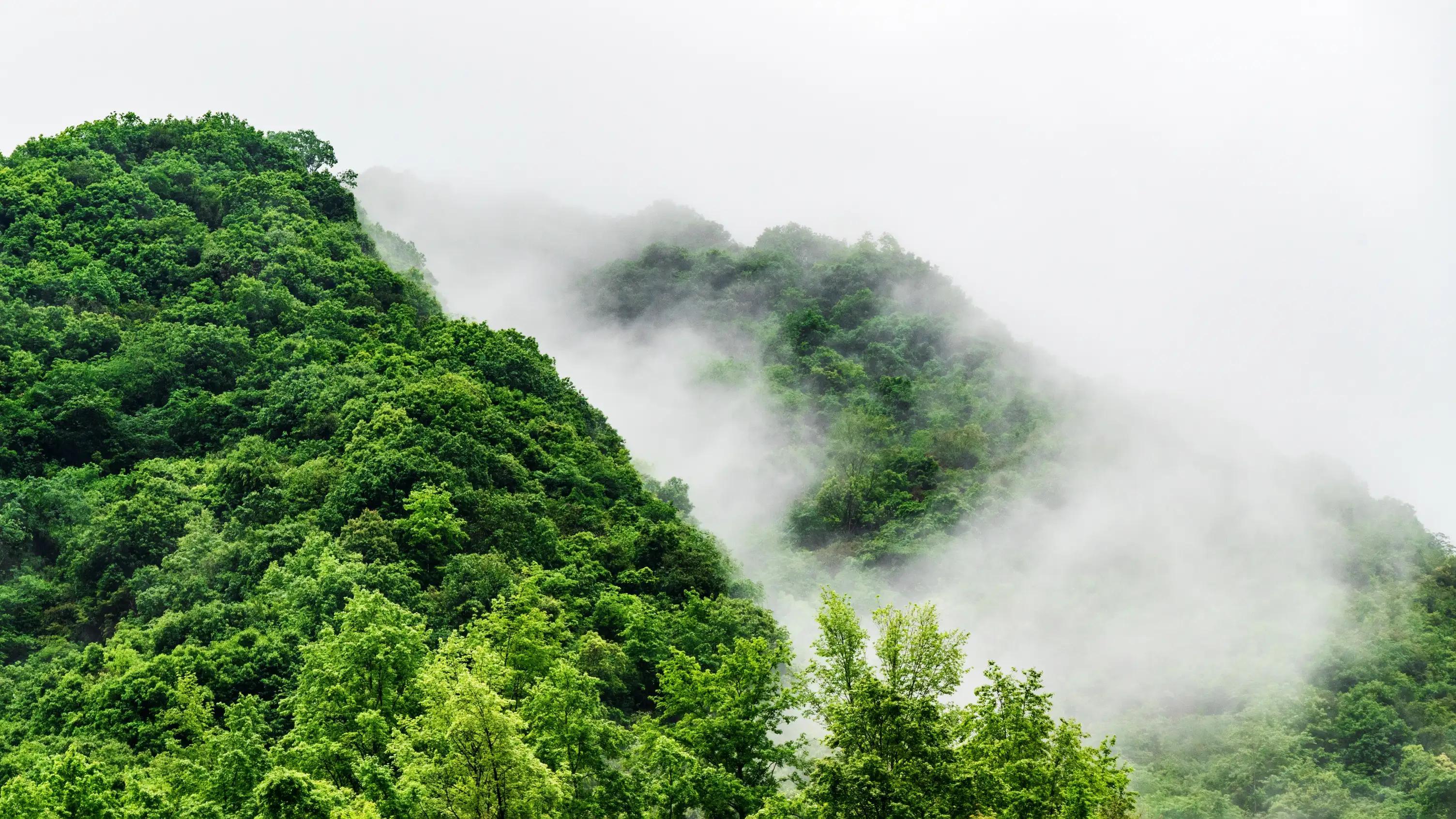 仙寓山富硒茶含硒多少(仙寓硒泉生产厂家)-硒宝网
