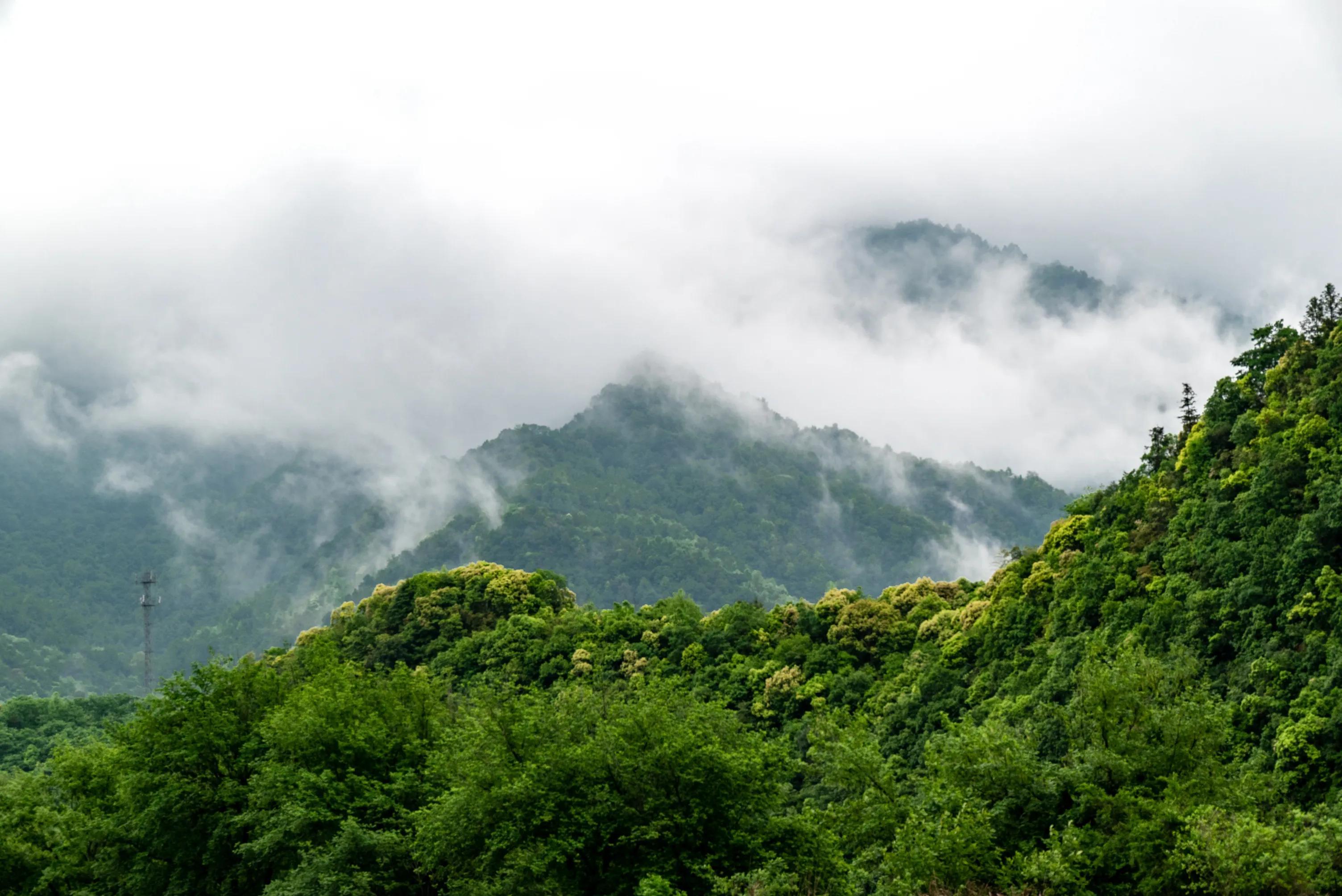 仙寓山富硒茶含硒多少(仙寓硒泉生产厂家)-硒宝网