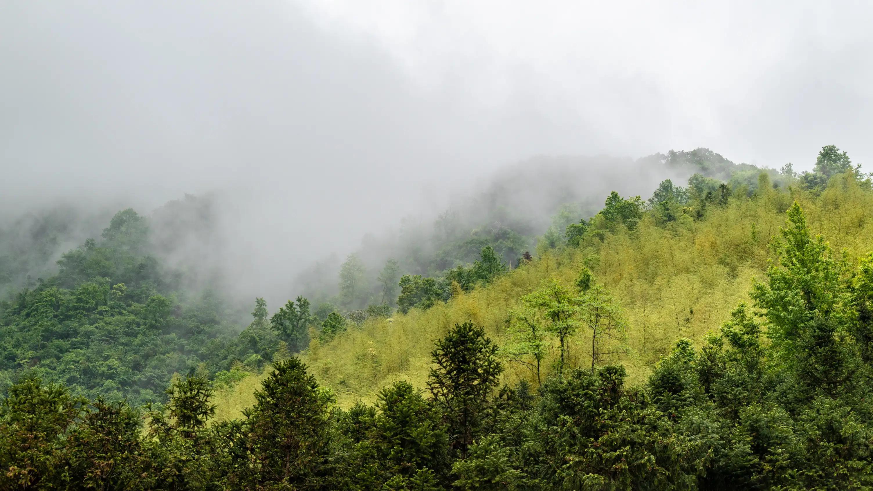 仙寓山富硒茶含硒多少(仙寓硒泉生产厂家)-硒宝网