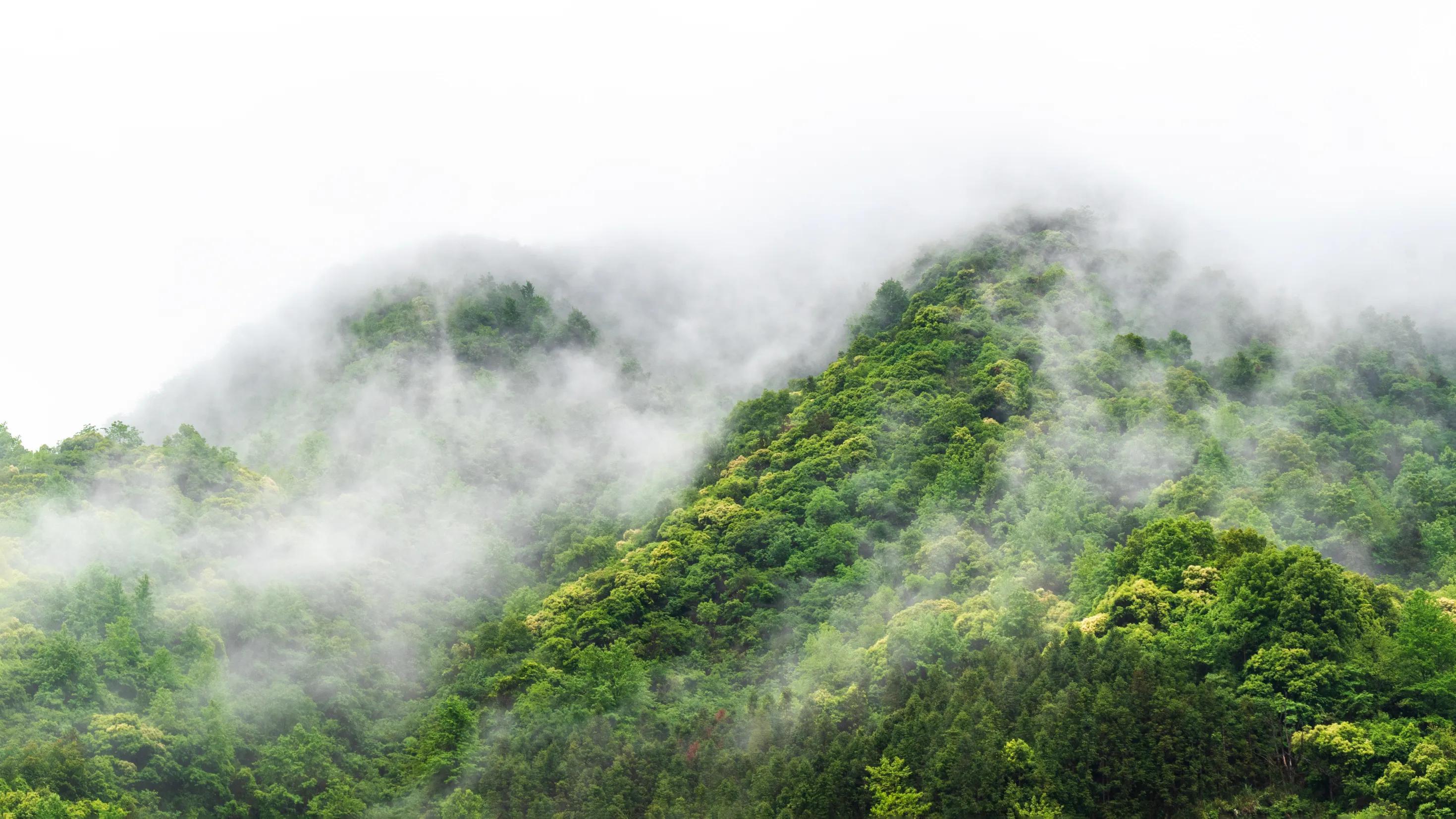 仙寓山富硒茶含硒多少(仙寓硒泉生产厂家)-硒宝网
