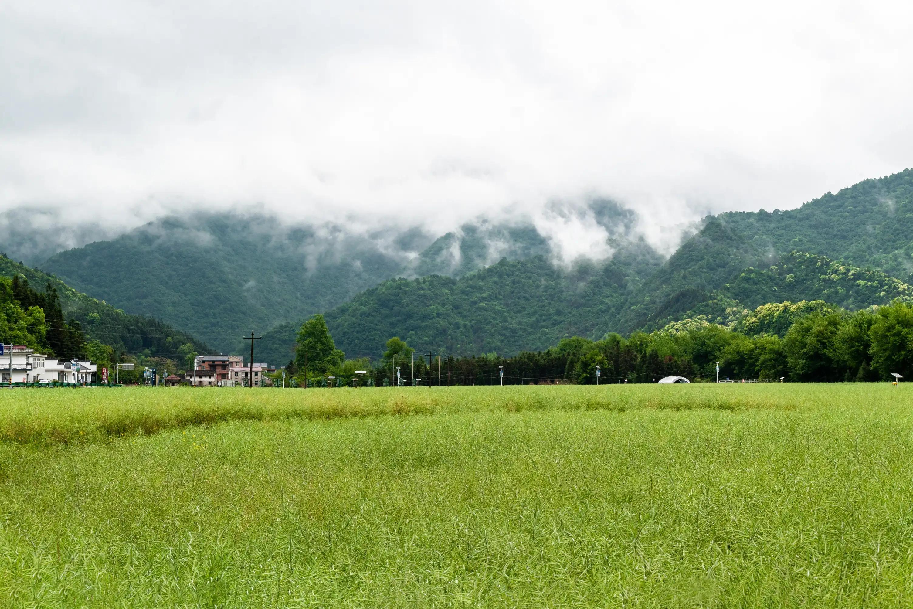 仙寓山富硒茶含硒多少(仙寓硒泉生产厂家)-硒宝网
