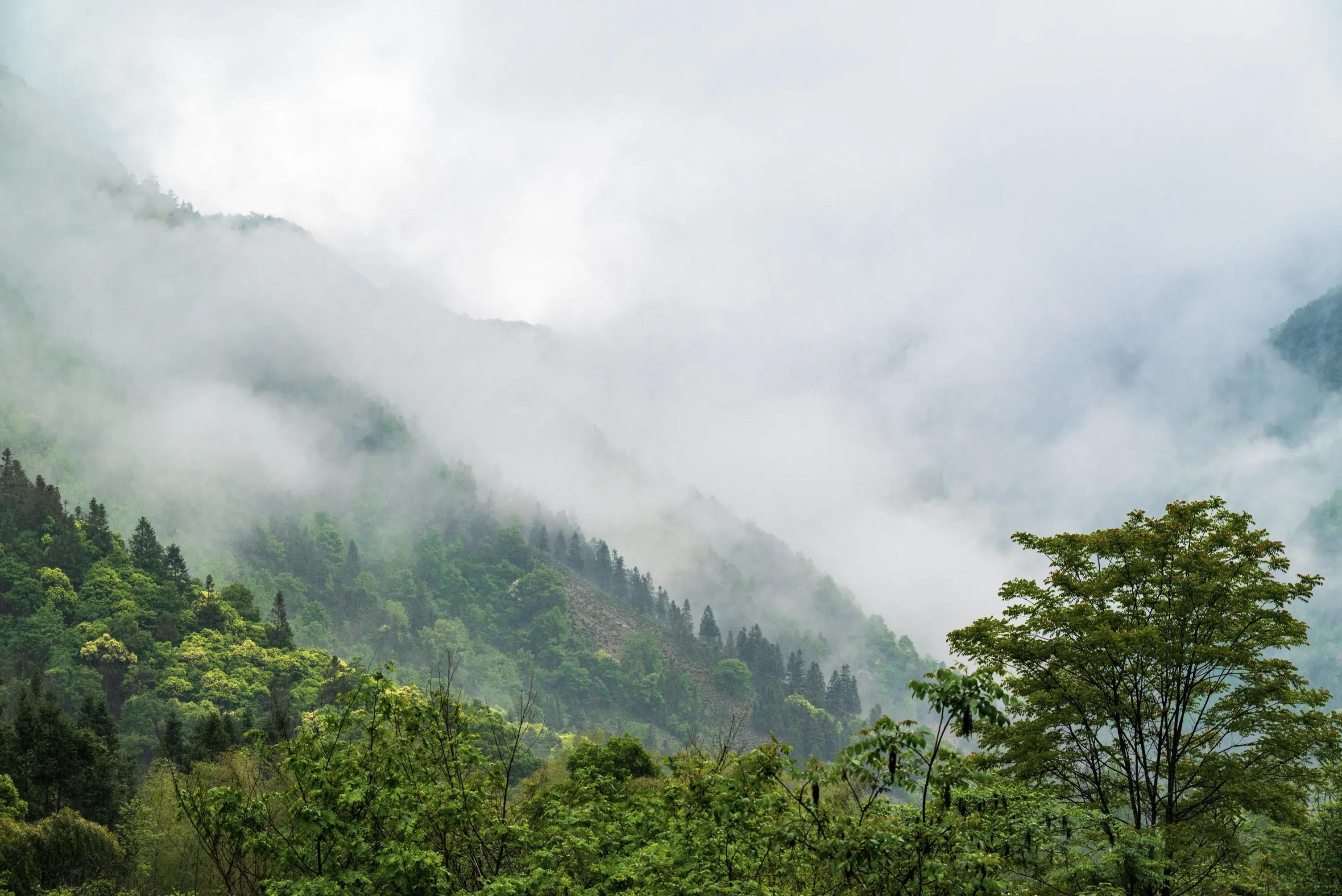 仙寓山富硒茶含硒多少(仙寓硒泉生产厂家)-硒宝网