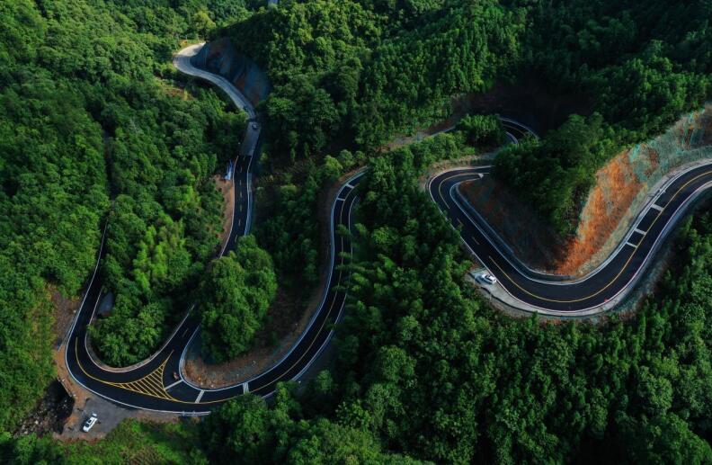 仙寓山富硒茶含硒多少(仙寓山富硒野茶是什么茶)-硒宝网