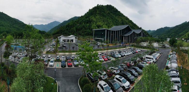 仙寓山富硒茶含硒多少(仙寓山富硒野茶是什么茶)-硒宝网