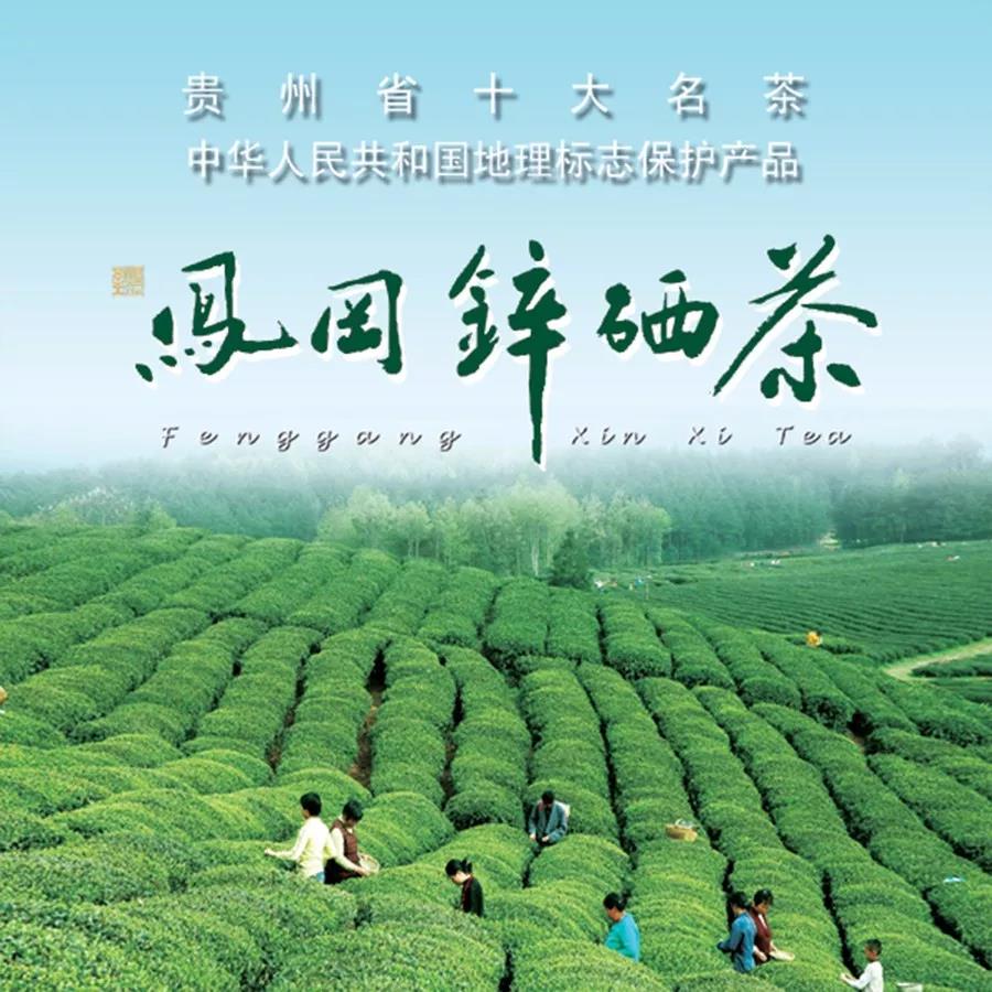 云硒富硒黑苦荞茶价格（云硒富硒黑苦荞茶价位）-硒宝网