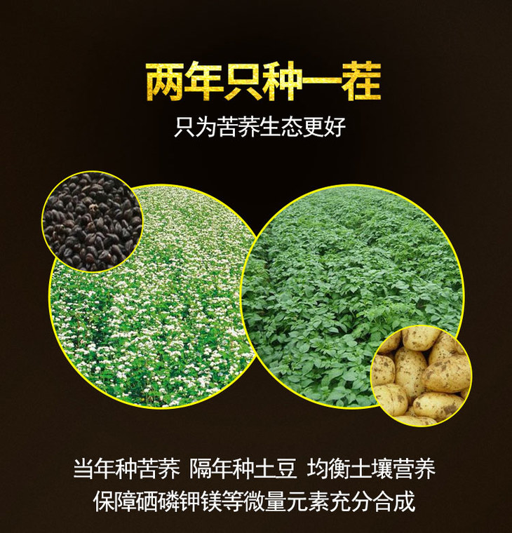 云硒富硒黑苦荞茶价格（云硒富硒黑苦荞茶价位）-硒宝网