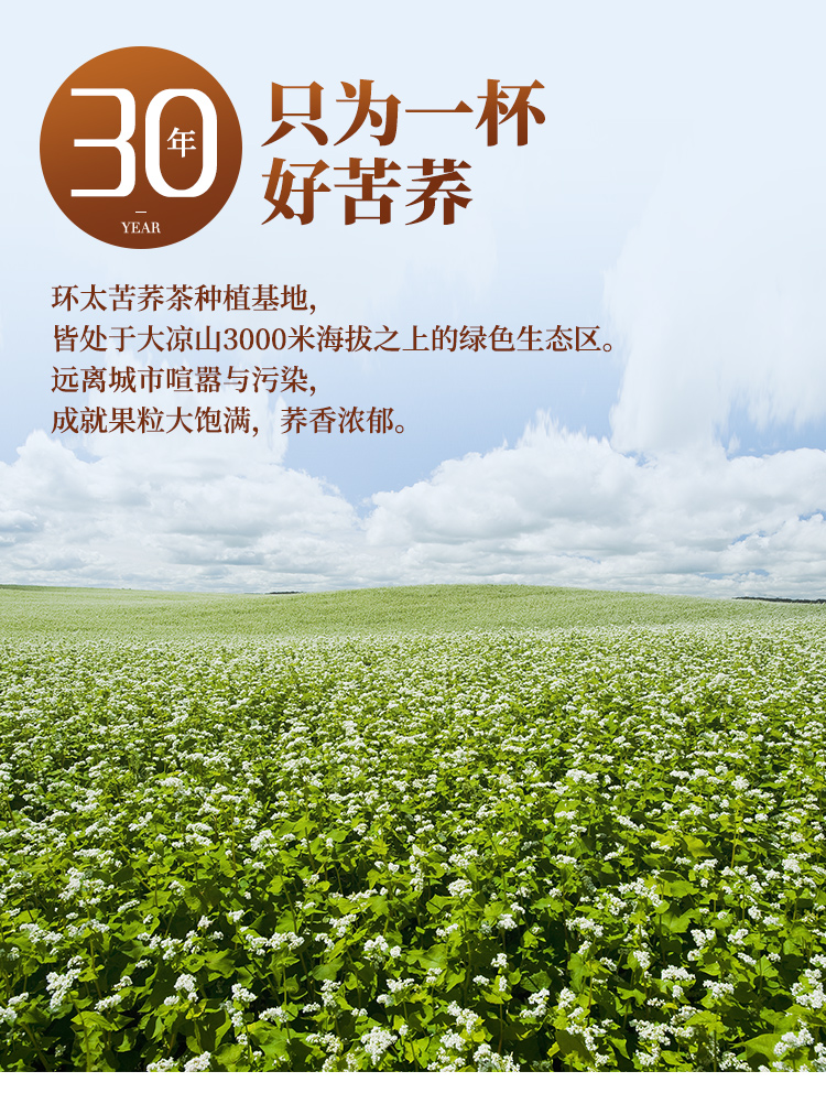 云硒富硒黑苦荞茶价格（云硒富硒黑苦荞茶价位）-硒宝网