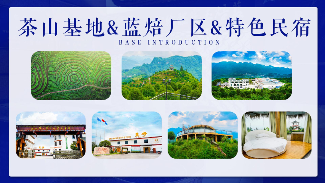 硒妃蒋家坡秋木富硒茶(富硒茶硒含量标准)-硒宝网