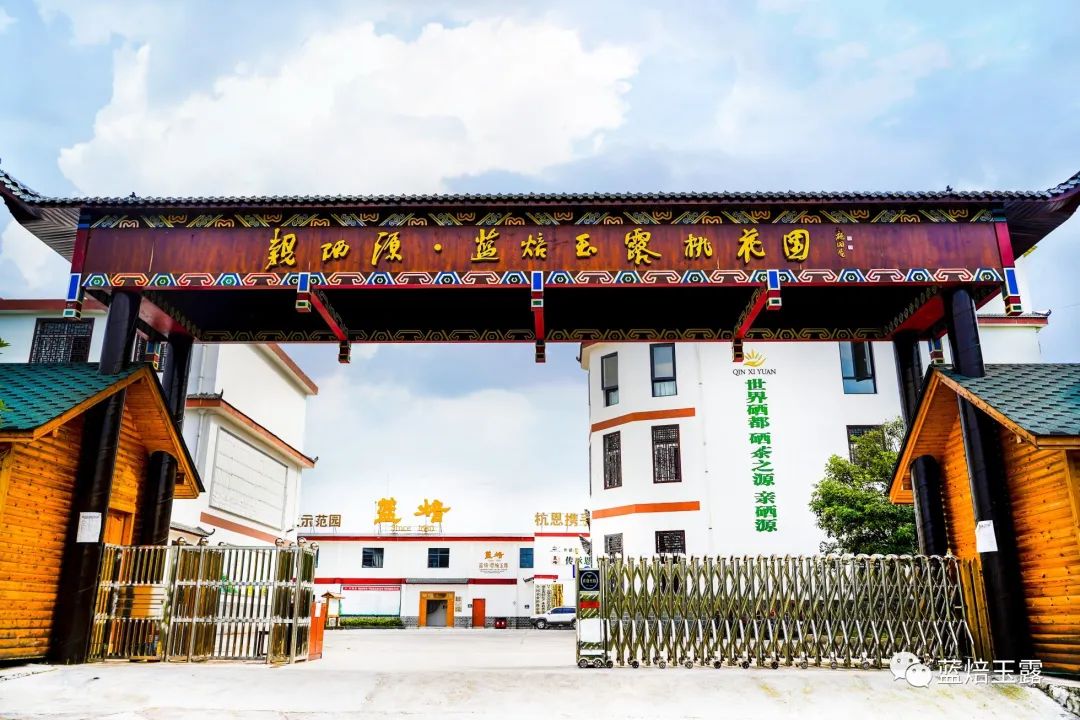 硒妃蒋家坡秋木富硒茶(富硒茶与蒲公英茶)-硒宝网