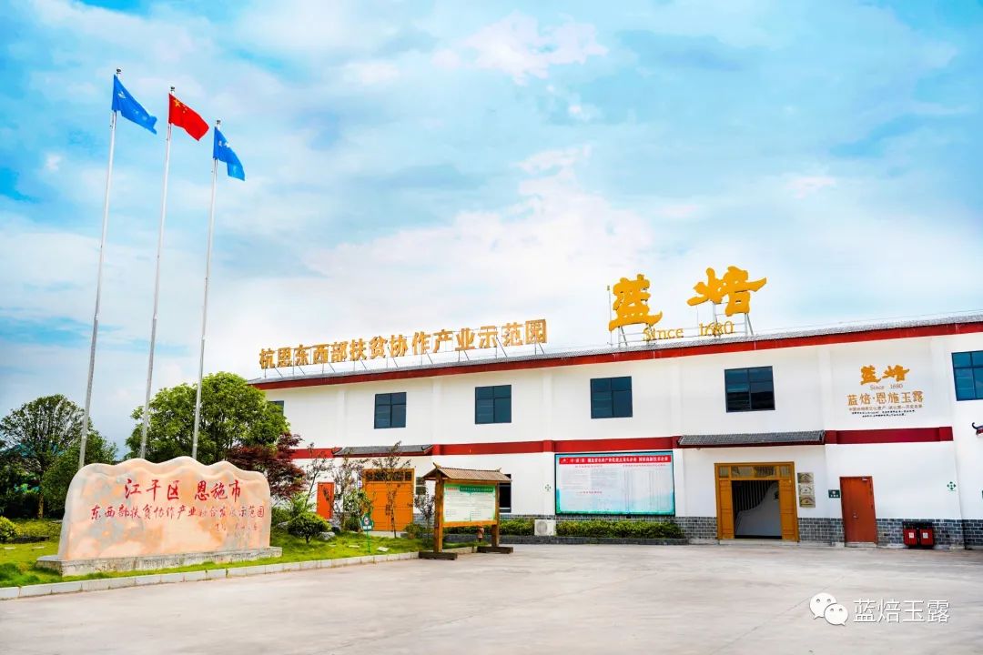 硒妃蒋家坡秋木富硒茶(富硒茶与蒲公英茶)-硒宝网