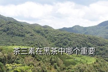 富硒茶黑茶功效与作用（黑茶的功效你搜一下）-硒宝网