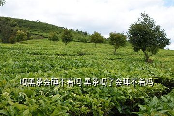 富硒茶黑茶功效与作用（黑茶的功效你搜一下）-硒宝网