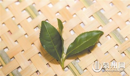 富硒茶是不是恩施的茶（恩施富硒茶文化的内涵有）-硒宝网