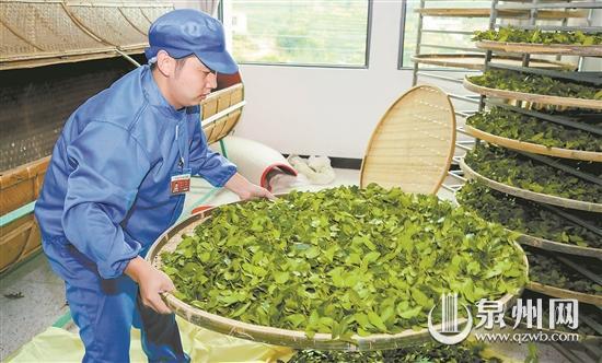 富硒茶是不是恩施的茶（恩施富硒茶文化的内涵有）-硒宝网
