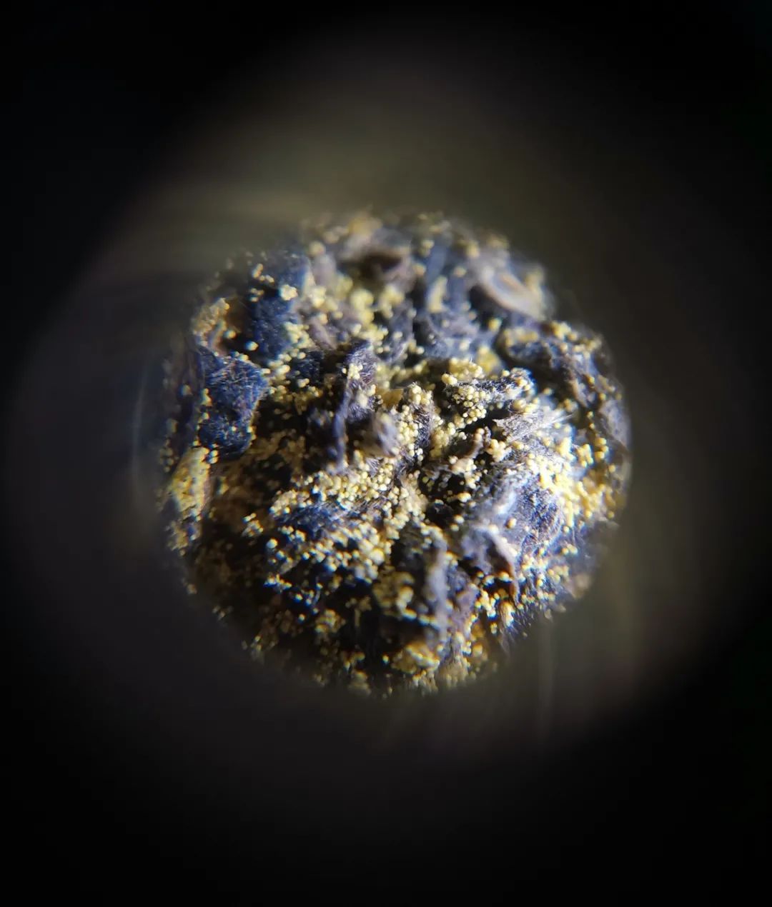 紫阳富硒茶是什么型茶（紫阳富硒茶中的硒是什么）-硒宝网