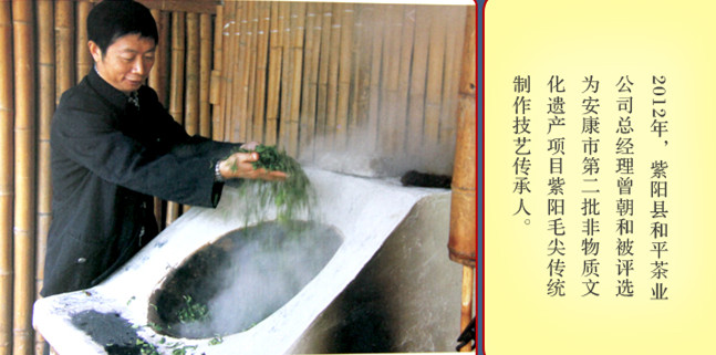 紫阳毛尖茶紫阳富硒茶（紫阳富硒毛尖茶价格）-硒宝网