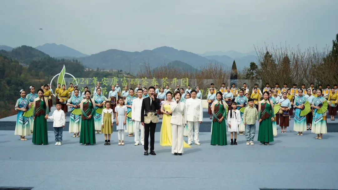 富硒茶是茶尖还是茶叶（富硒茶是毛尖吗）-硒宝网