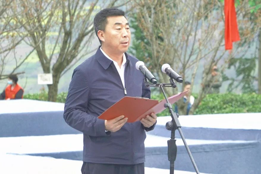 富硒茶是茶尖还是茶叶（富硒茶是毛尖吗）-硒宝网