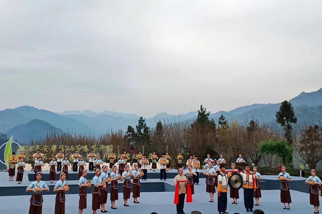 富硒茶是茶尖还是茶叶（富硒茶是毛尖吗）-硒宝网