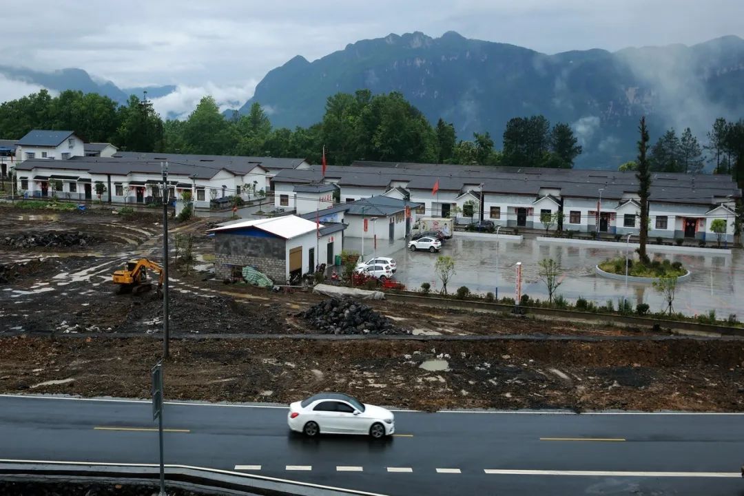 巴东的富硒茶是什么茶(巴东富硒茶怎么样)-硒宝网