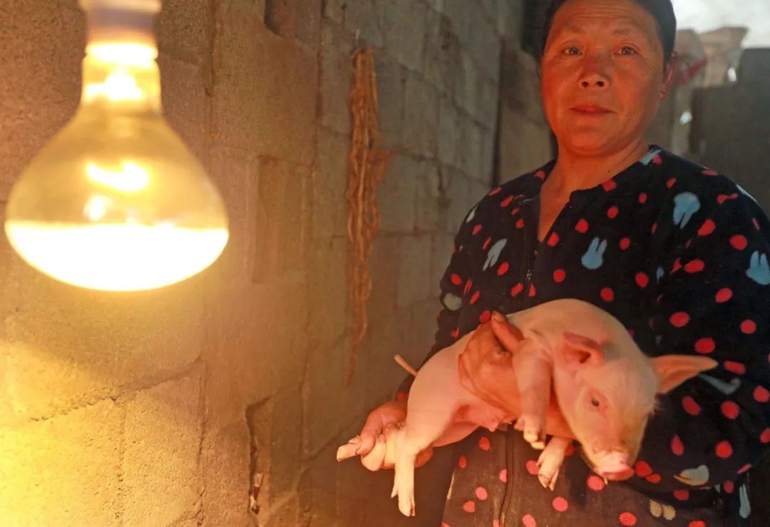 巴东的富硒茶是什么茶(巴东富硒茶怎么样)-硒宝网