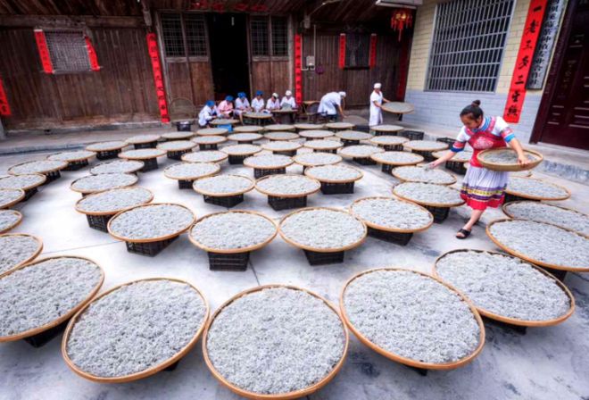 长寿富硒的茶是什么茶（富硒长寿）-硒宝网