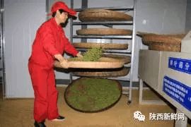 秦巴山富硒茶是什么茶(巴东富硒茶)-硒宝网