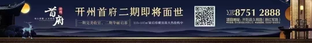 开阳富硒茶可以投资吗(开阳富硒茶园)-硒宝网