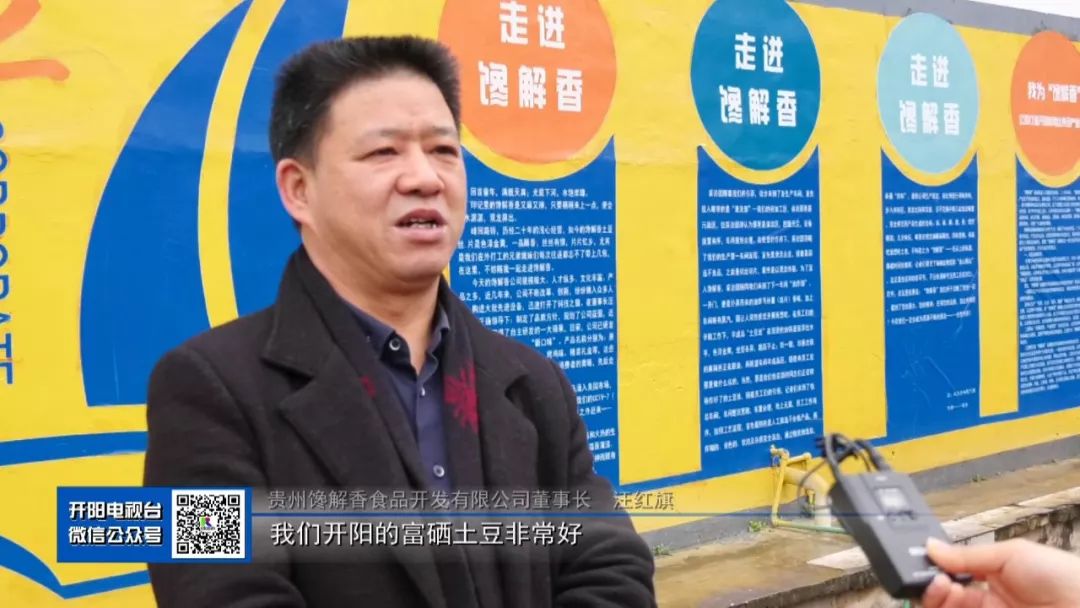 开阳富硒茶可以投资吗(开阳富硒茶园)-硒宝网