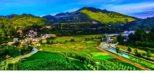 开阳富硒茶可以投资吗(开阳富硒茶园)-硒宝网