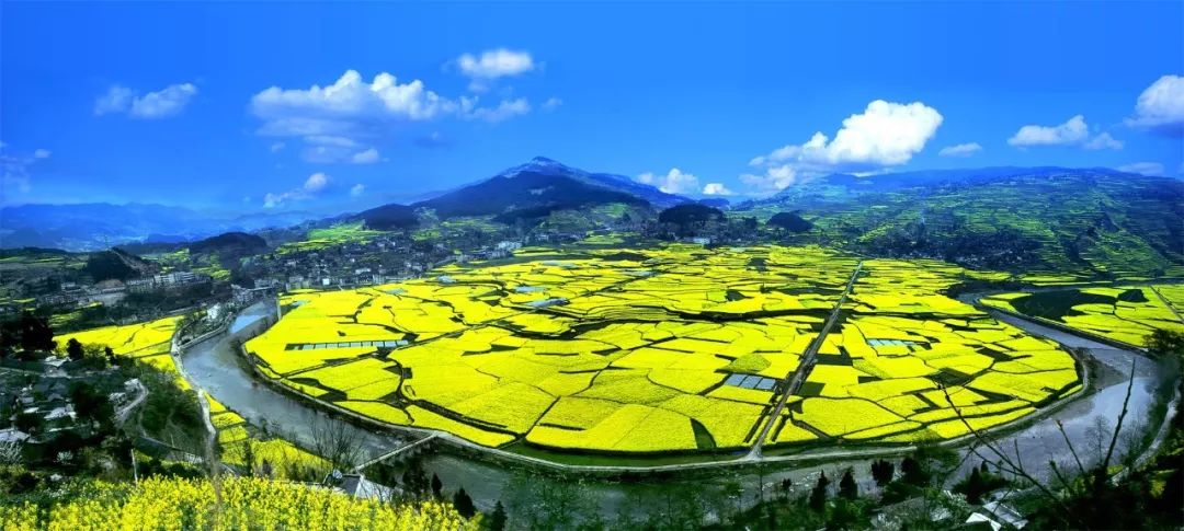 开阳富硒茶可以投资吗(开阳富硒茶园)-硒宝网