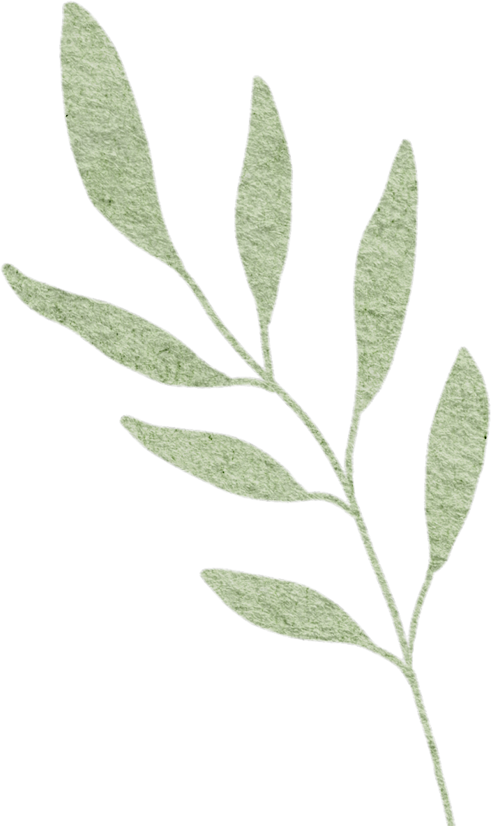 湖南醇厚的恩施富硒茶(湖南恩施富硒茶的功效)-硒宝网