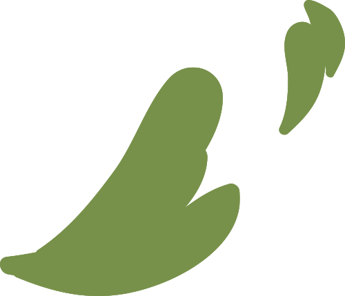 湖南醇厚的恩施富硒茶(湖南恩施富硒茶的功效)-硒宝网